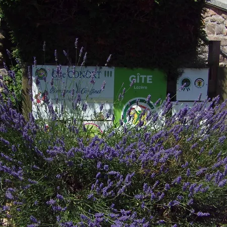 Bienvenue A Couffinet Peyre-en-Aubrac