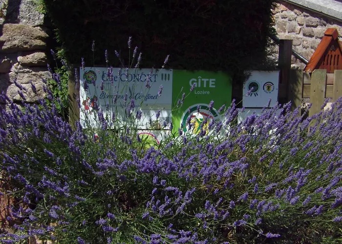 Bienvenue A Couffinet Peyre-en-Aubrac