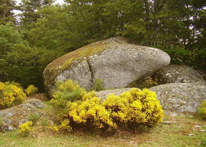 Bienvenue A Couffinet * Peyre-en-Aubrac